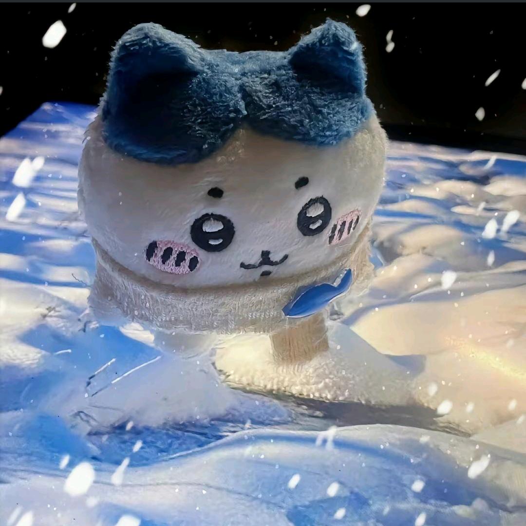 白色脆脆鲨