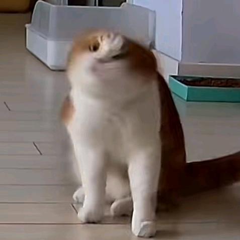 俺心态超好