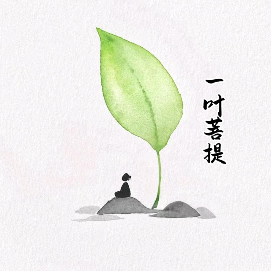 一颗鲍鱼糖🍬