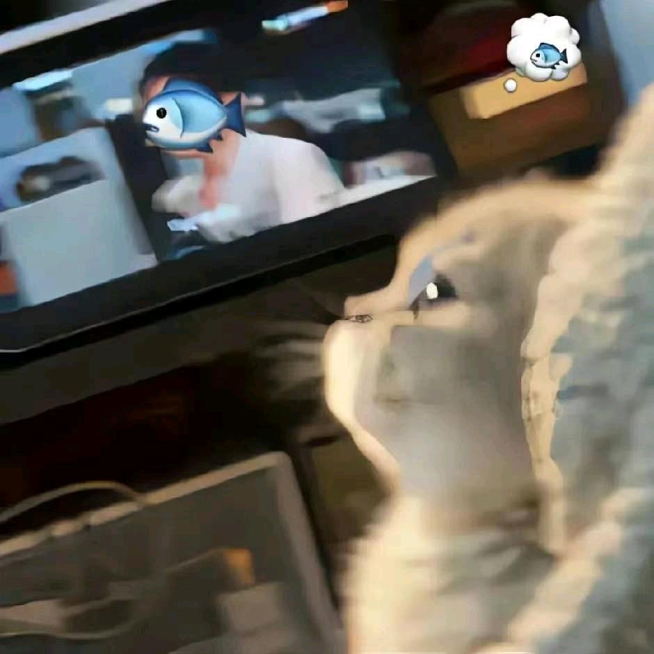 清澈