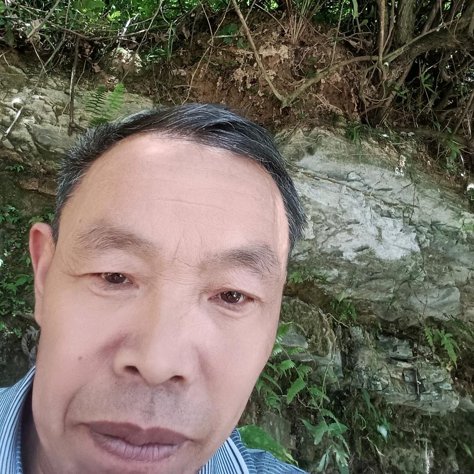 代哥百草