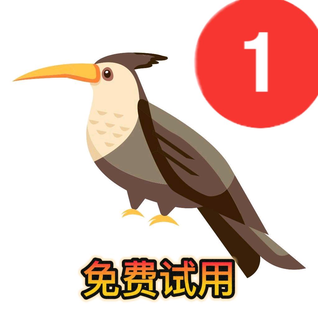 柜柜软件拆单刘掌柜