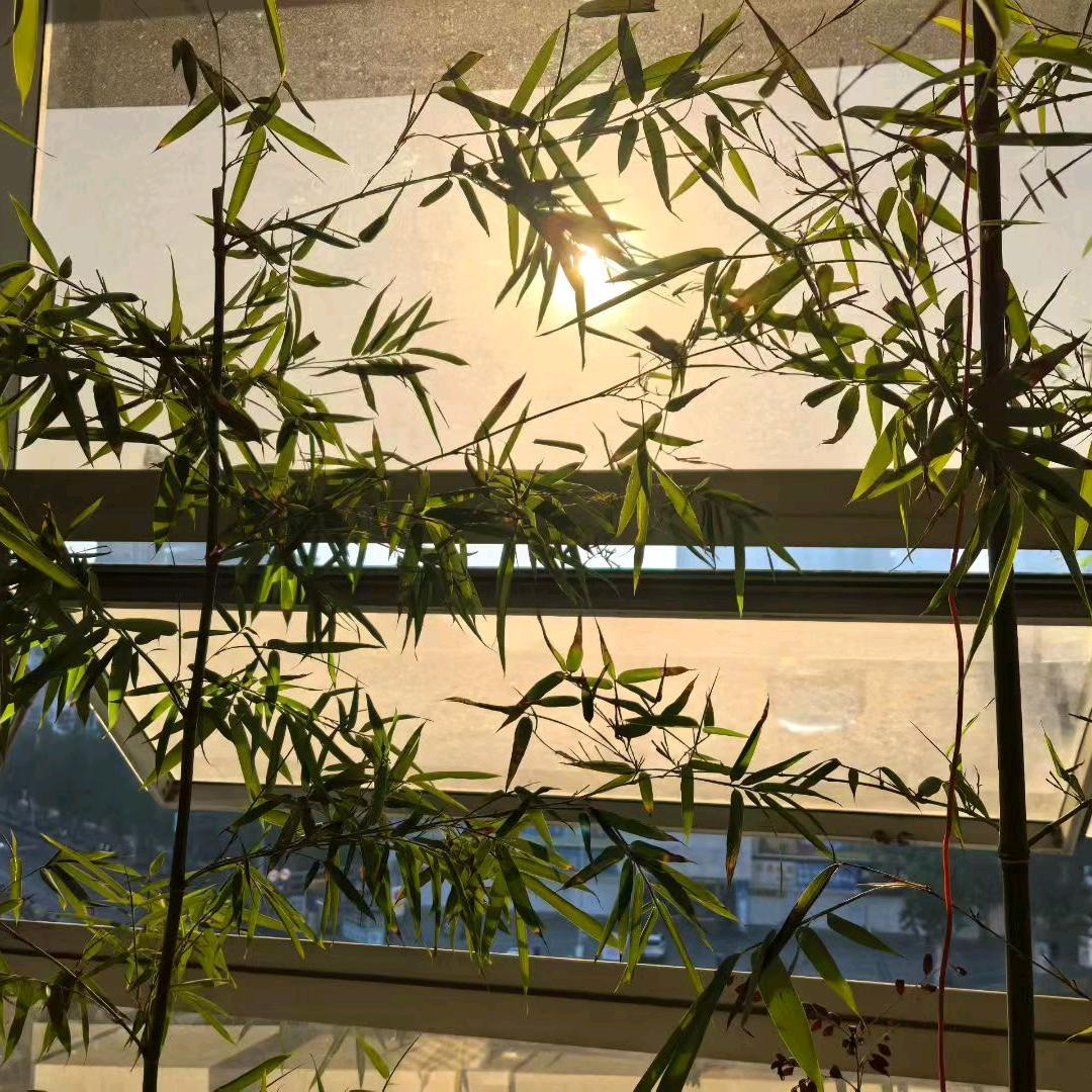 朗思教育（高瓴老师）