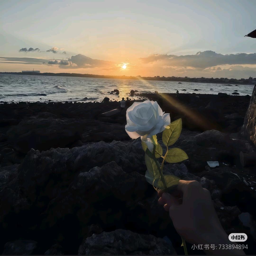 shp今天练歌了没