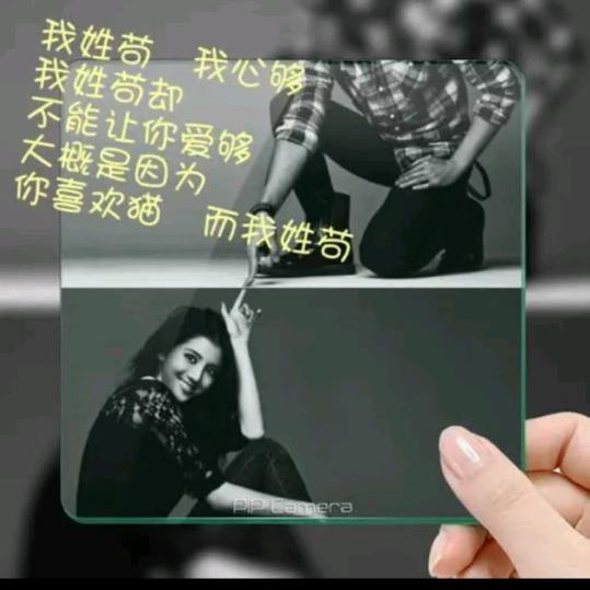 苟来运转
