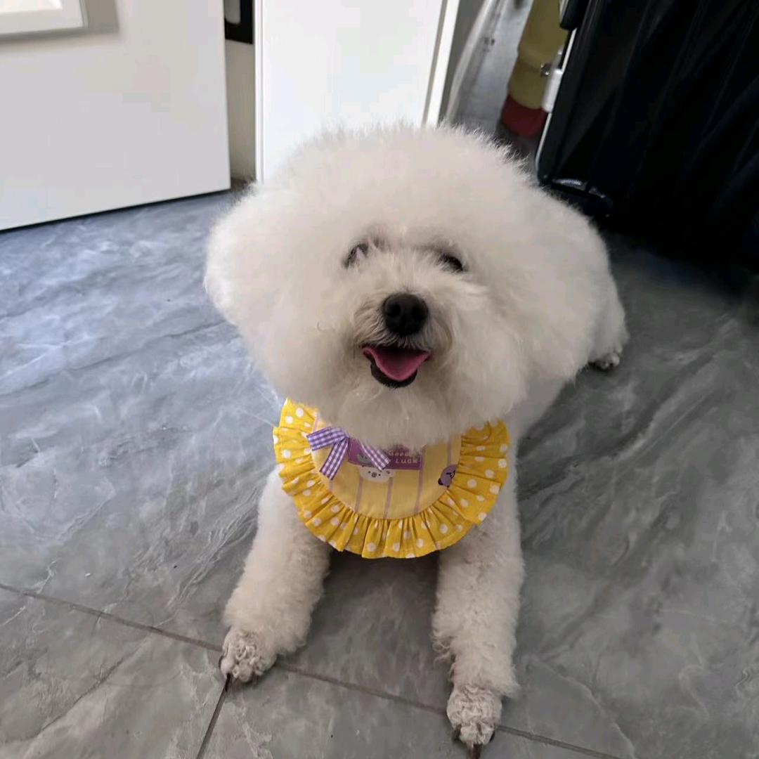 简单的幸福#