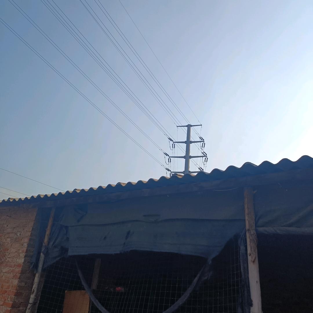 小鸡“幼儿园”