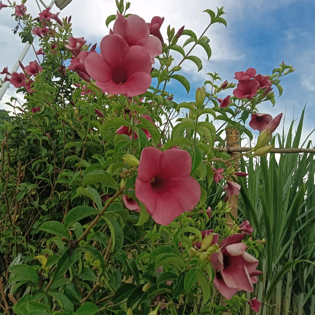 一笑而过