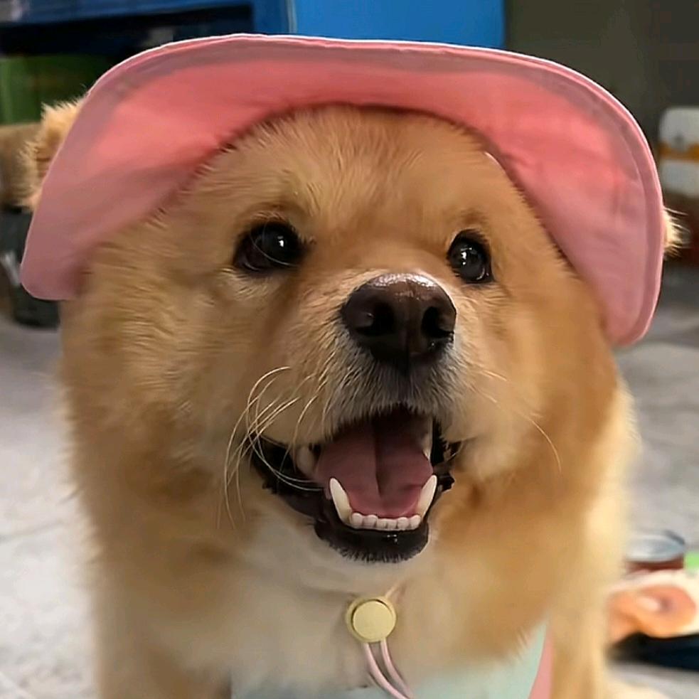 🌈Tim🌈