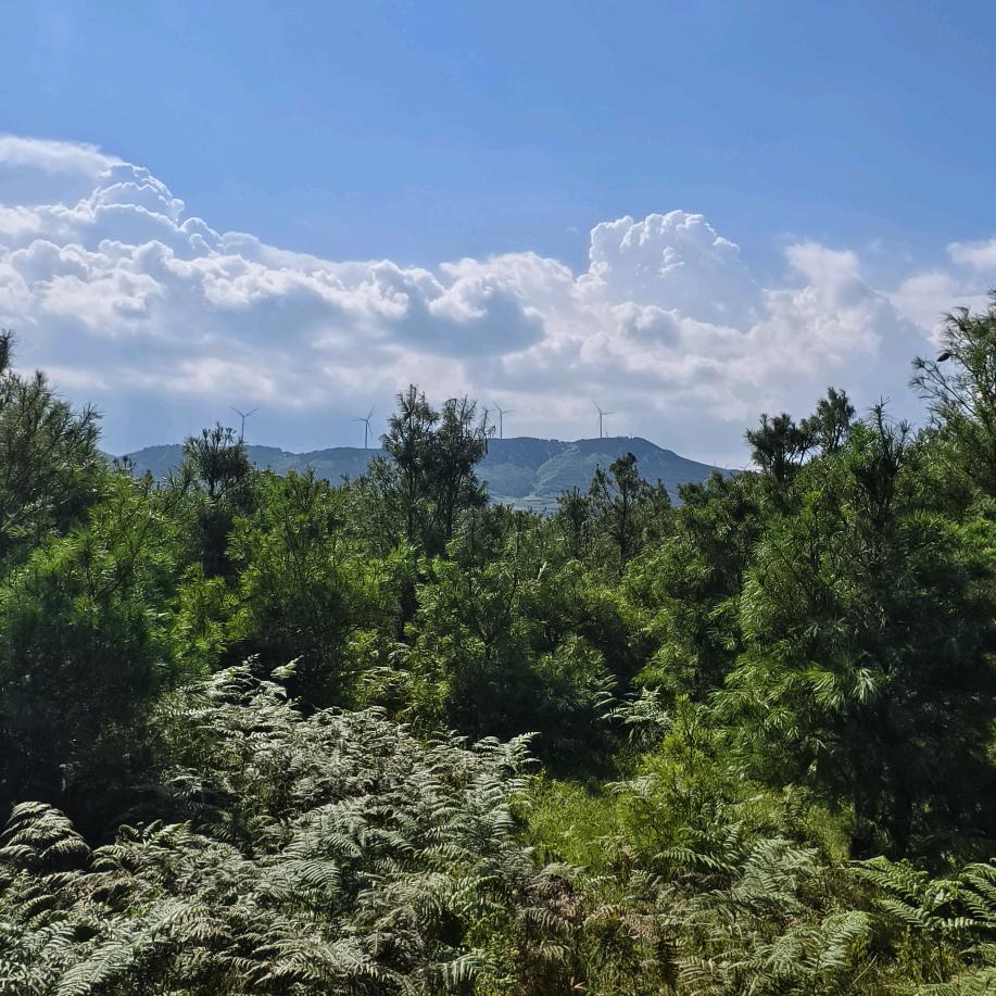 L品种婆娘二手车批发