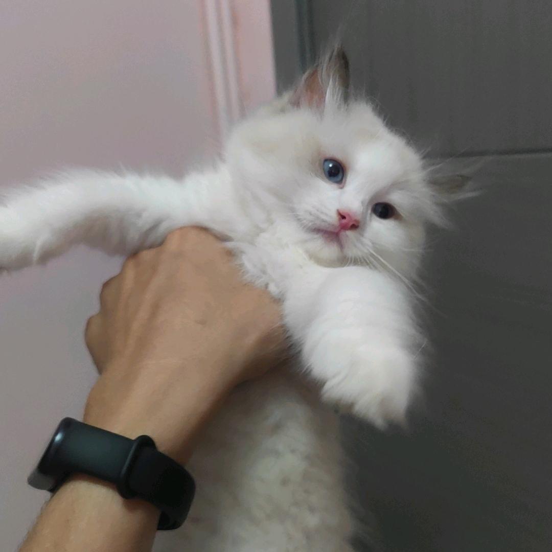 握住命运的咽喉