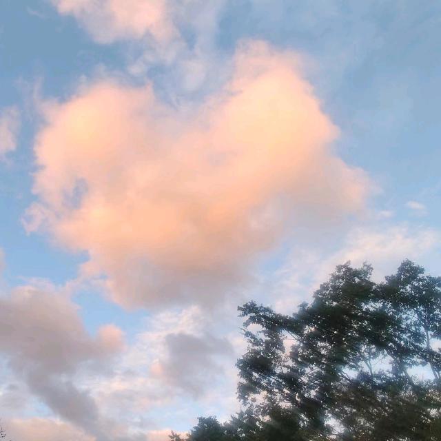 财神爷的大宝贝