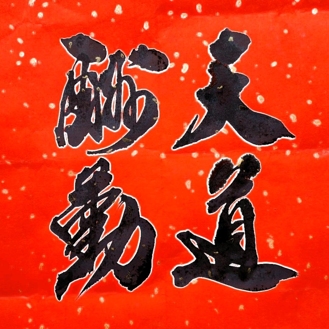 鲜启坤书法