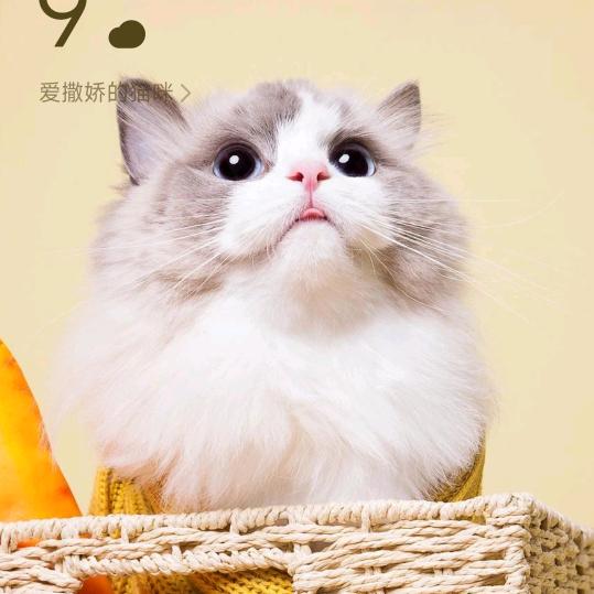 陈熙