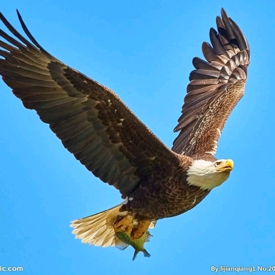 看看不说话《😍😍 =•ω•=》