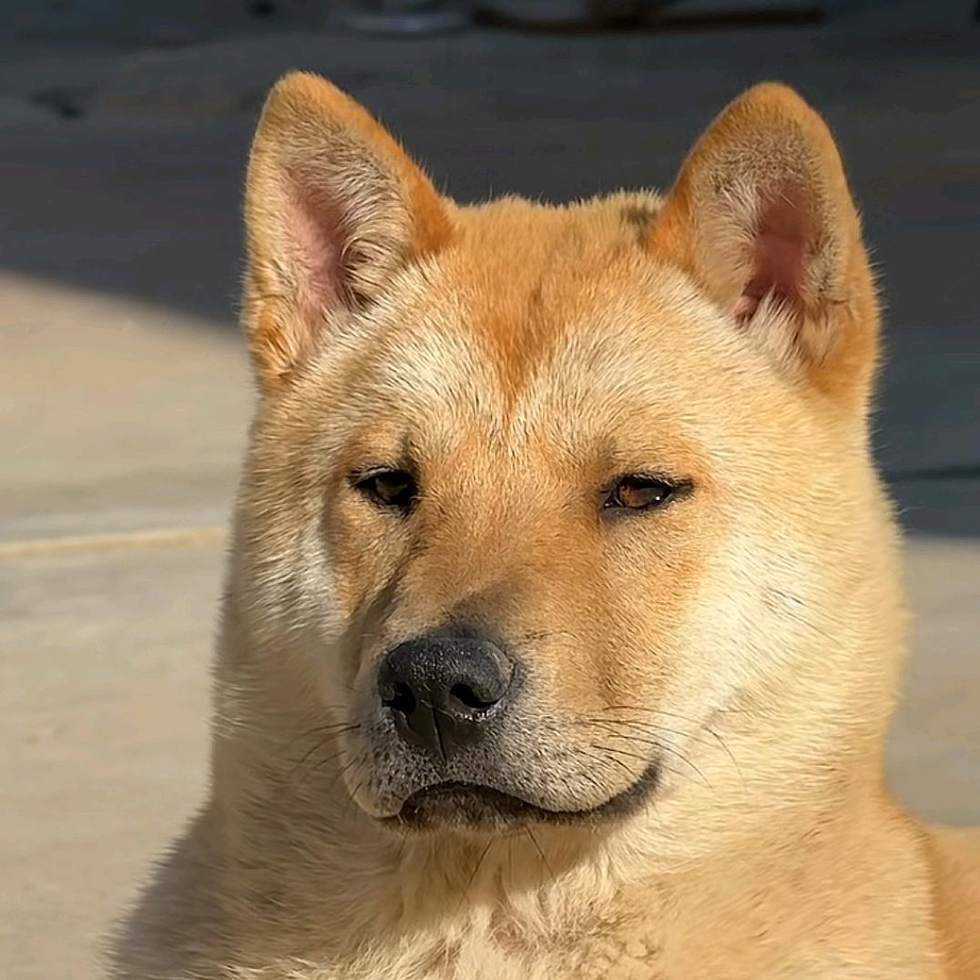 T⑧