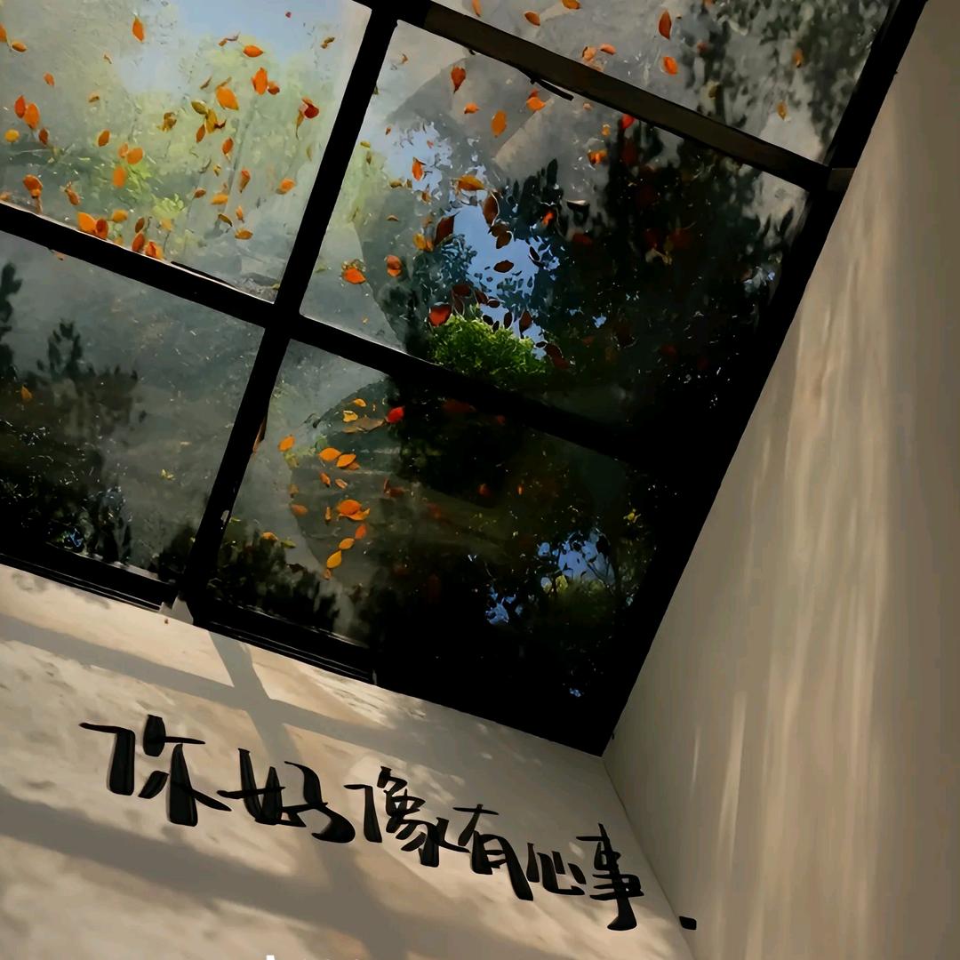 芬达