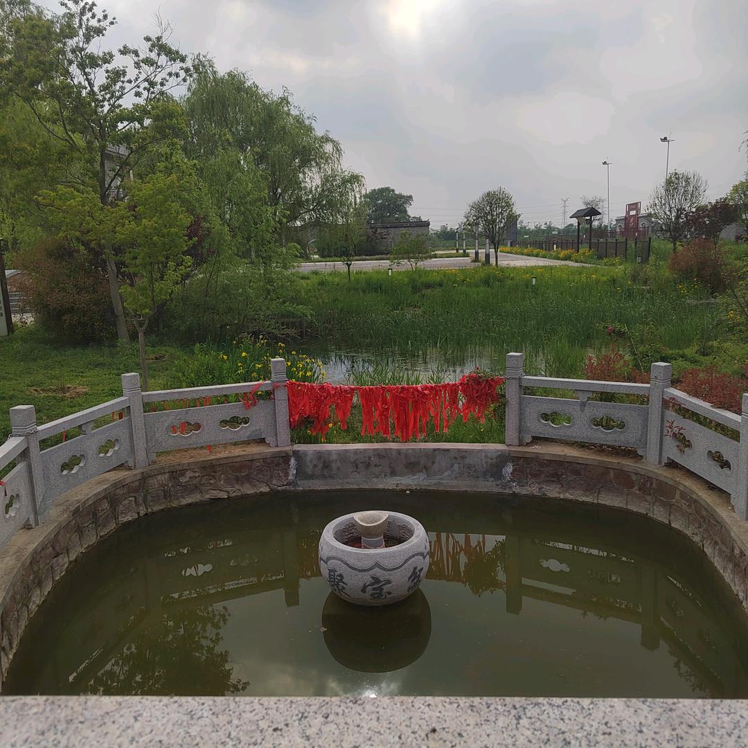 思羽