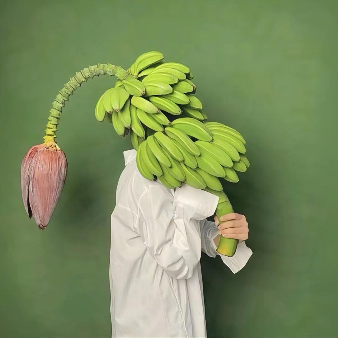 道骏一头像