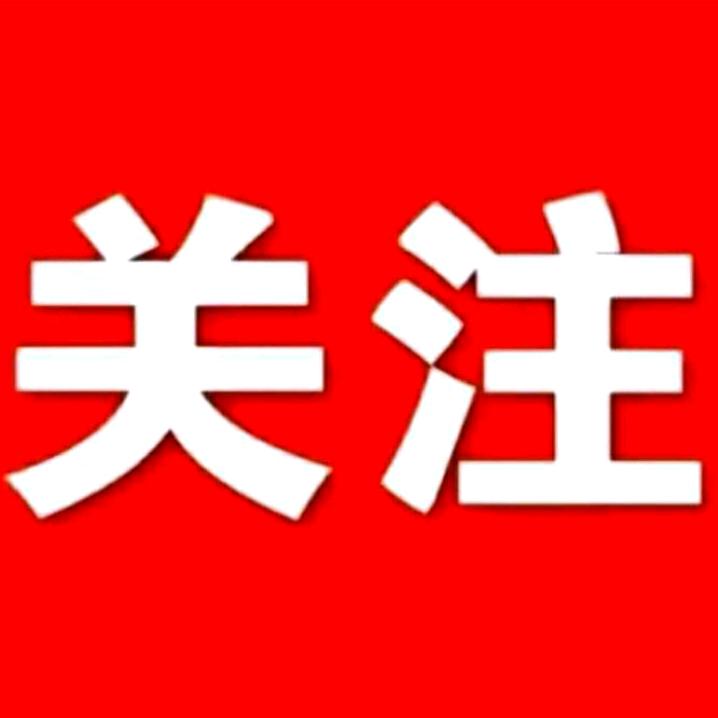 华元元