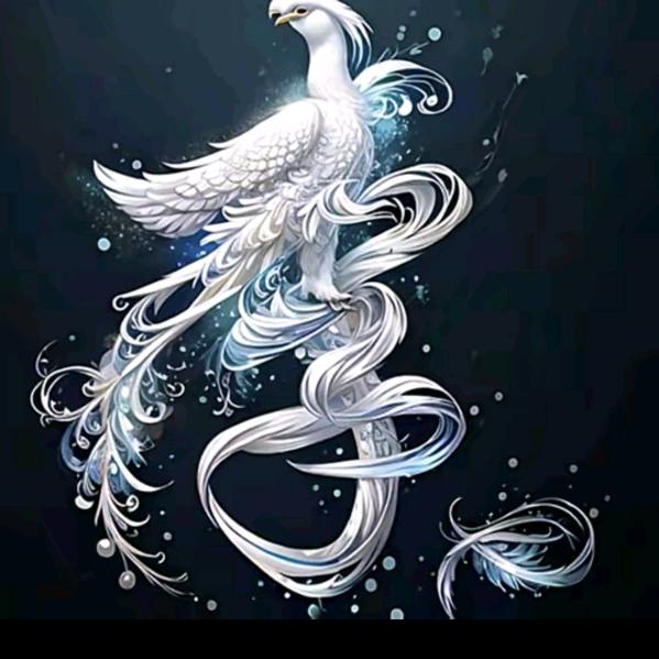 🕊ꦿ缘来ꦿ是李꧔ꦿ᭄💞