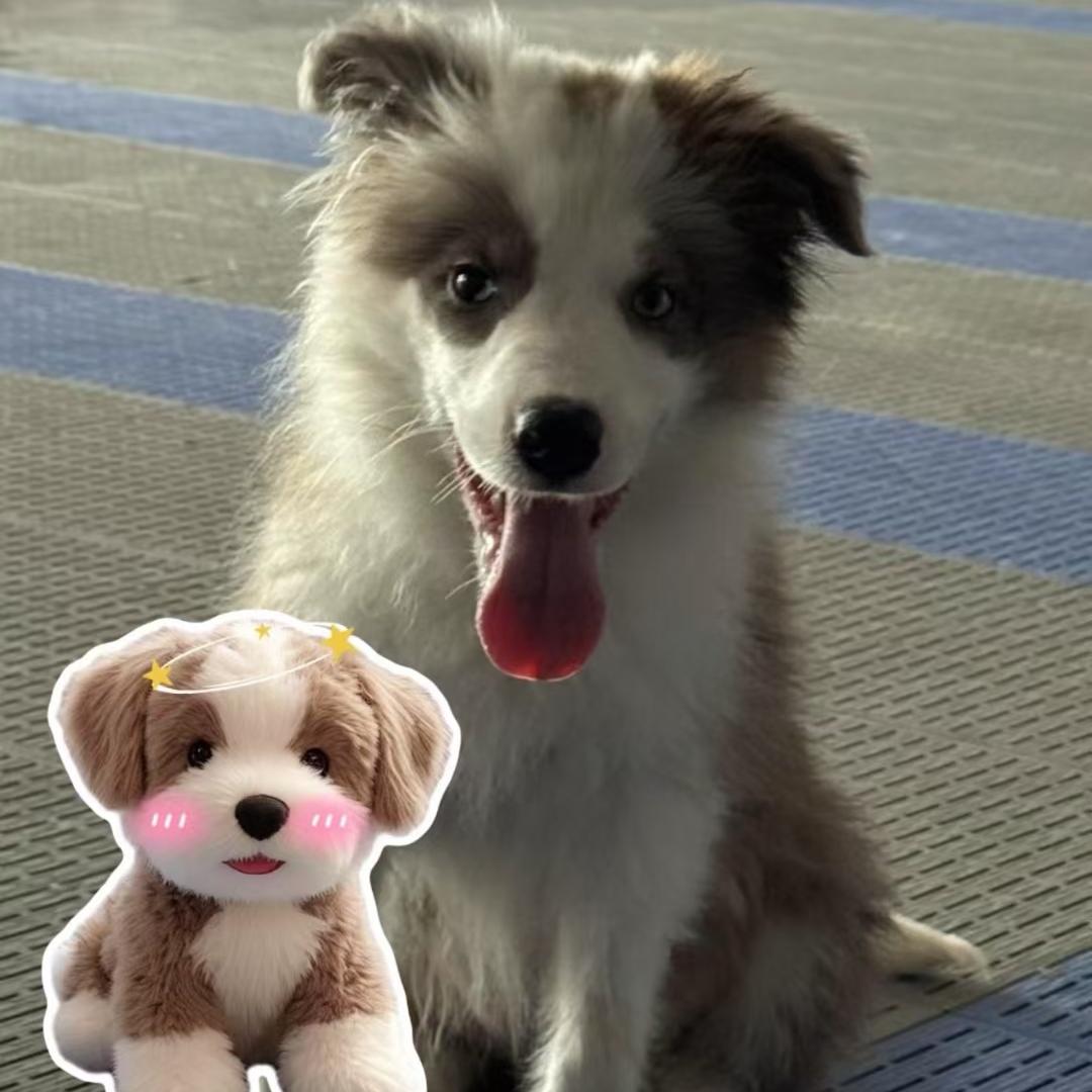 三月的风九月吹