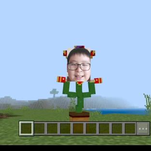 仙人仙人掌
