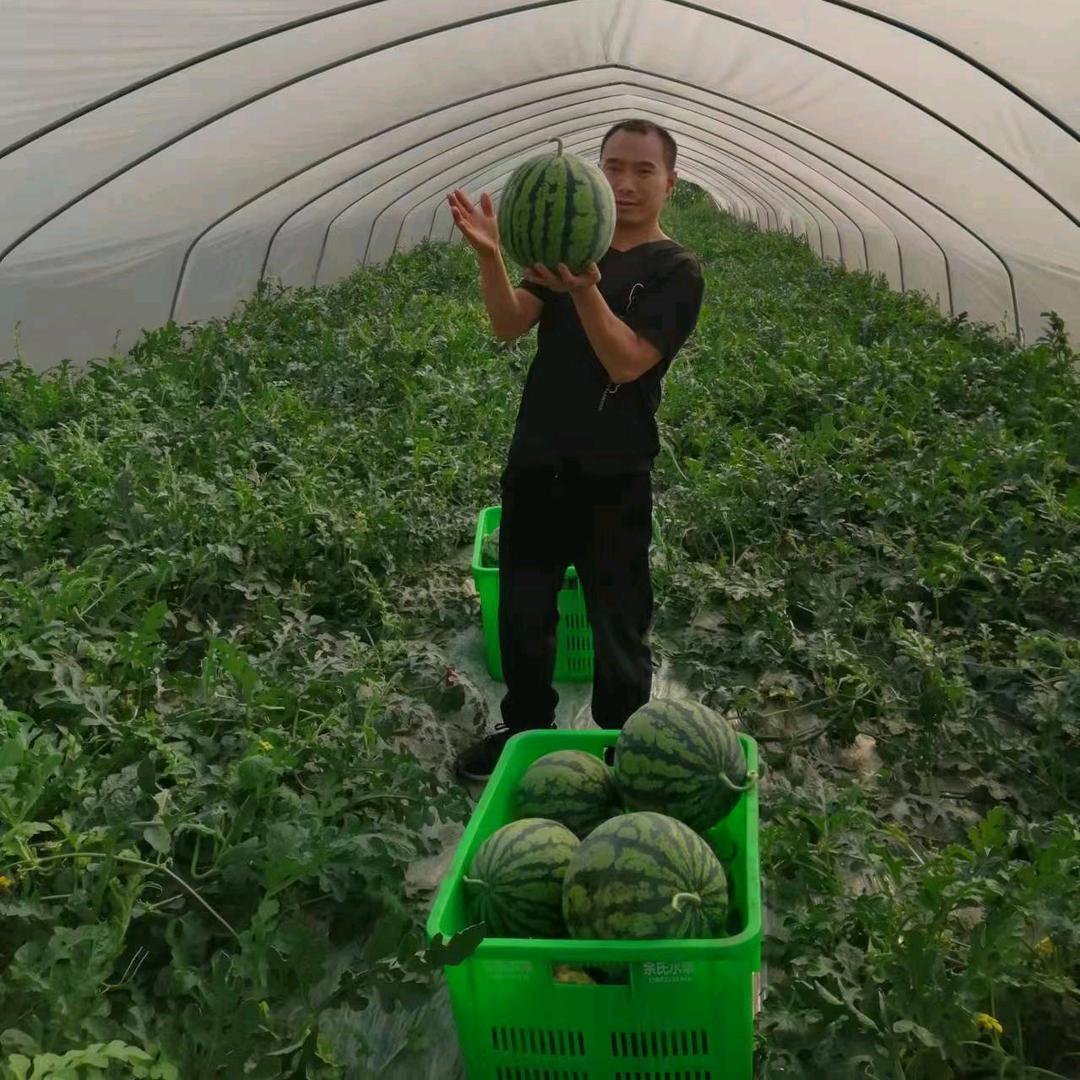 彭州市优汇鲜果蔬经营部