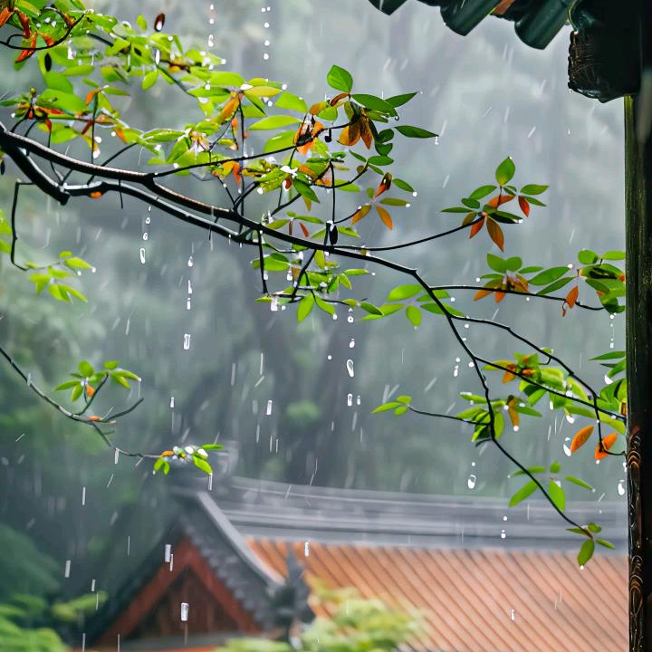 潇潇雨歇
