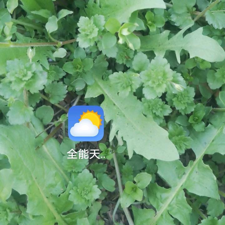 快乐