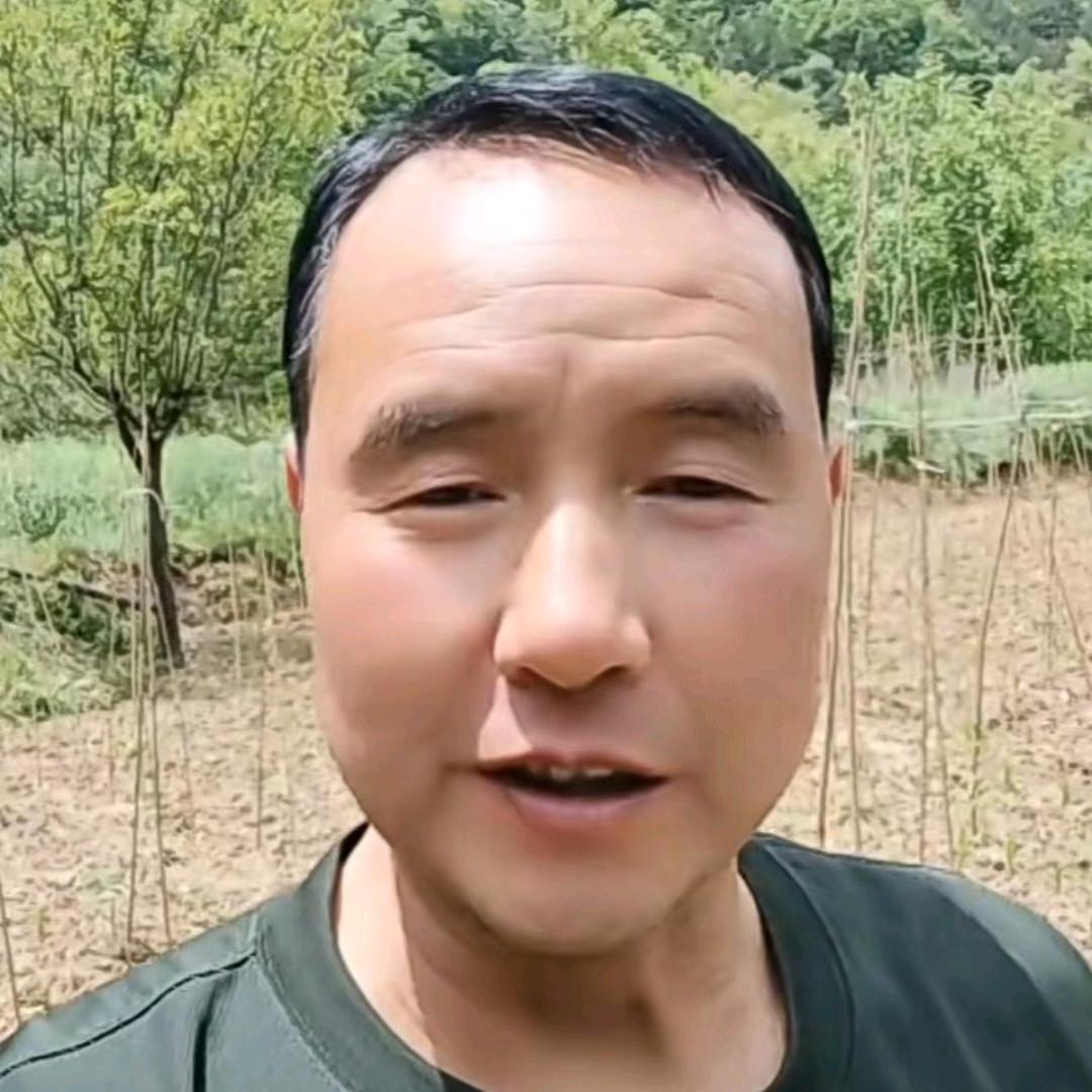 乡村马老建