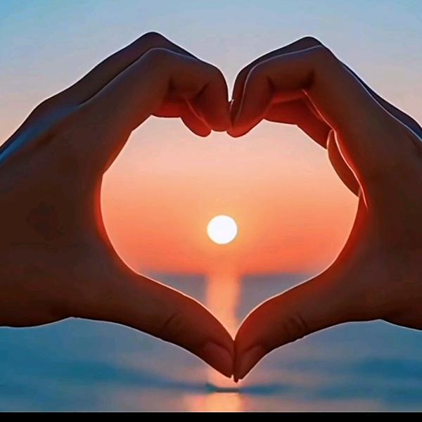 别怕：我又不是好人