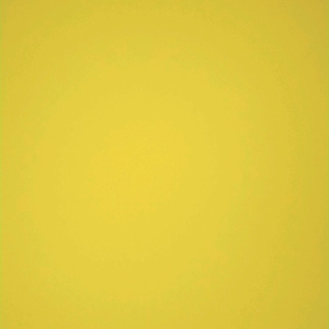 69556856
