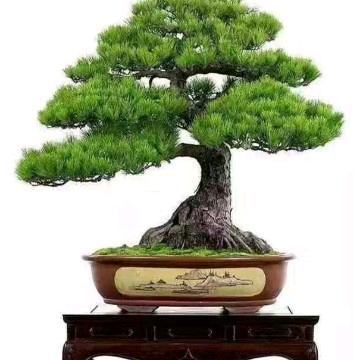 家庭幸福