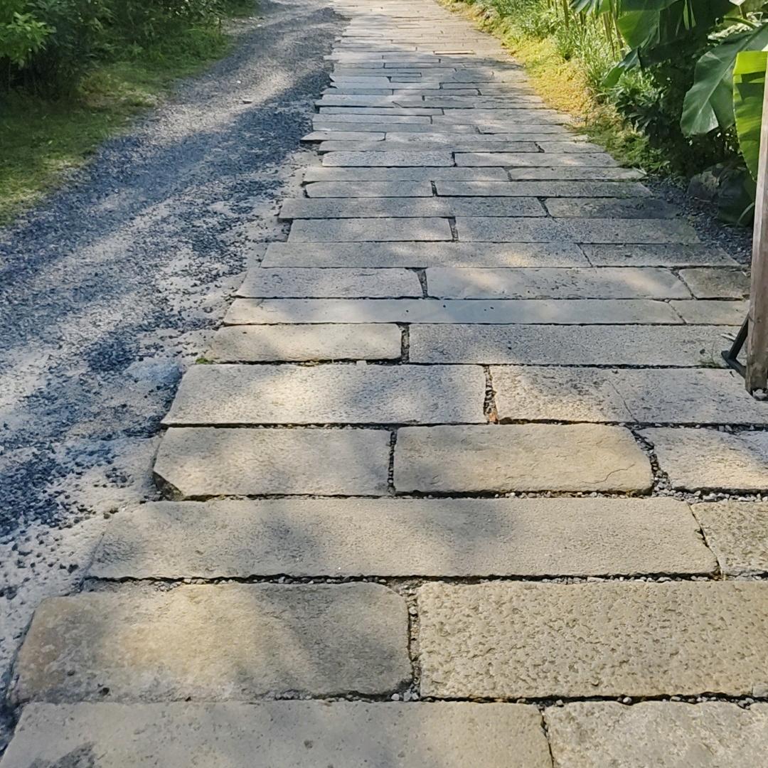 光林简约铺