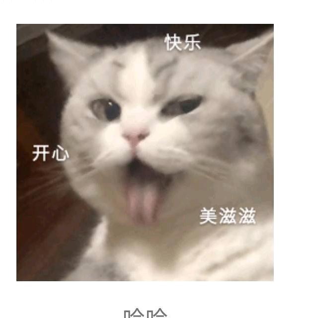 心中无雨