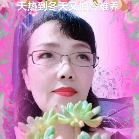 永远向往