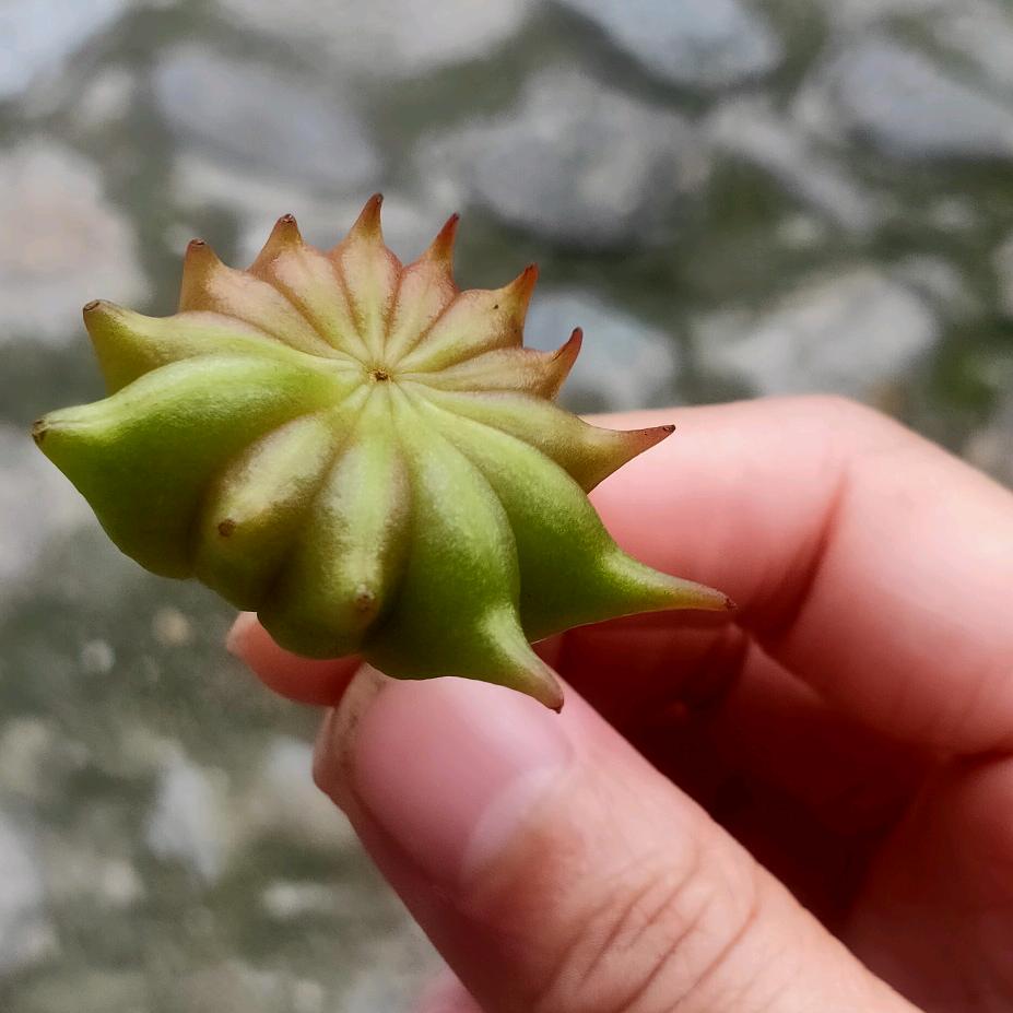 人生怎么选都有遗憾