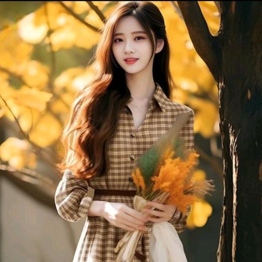 🌸猫咪用品优选