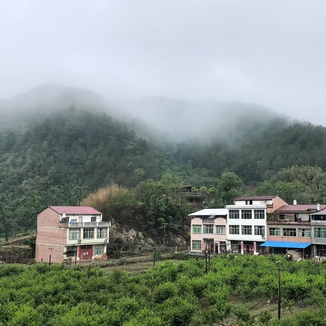 ℘°小檸এ 檬🌸