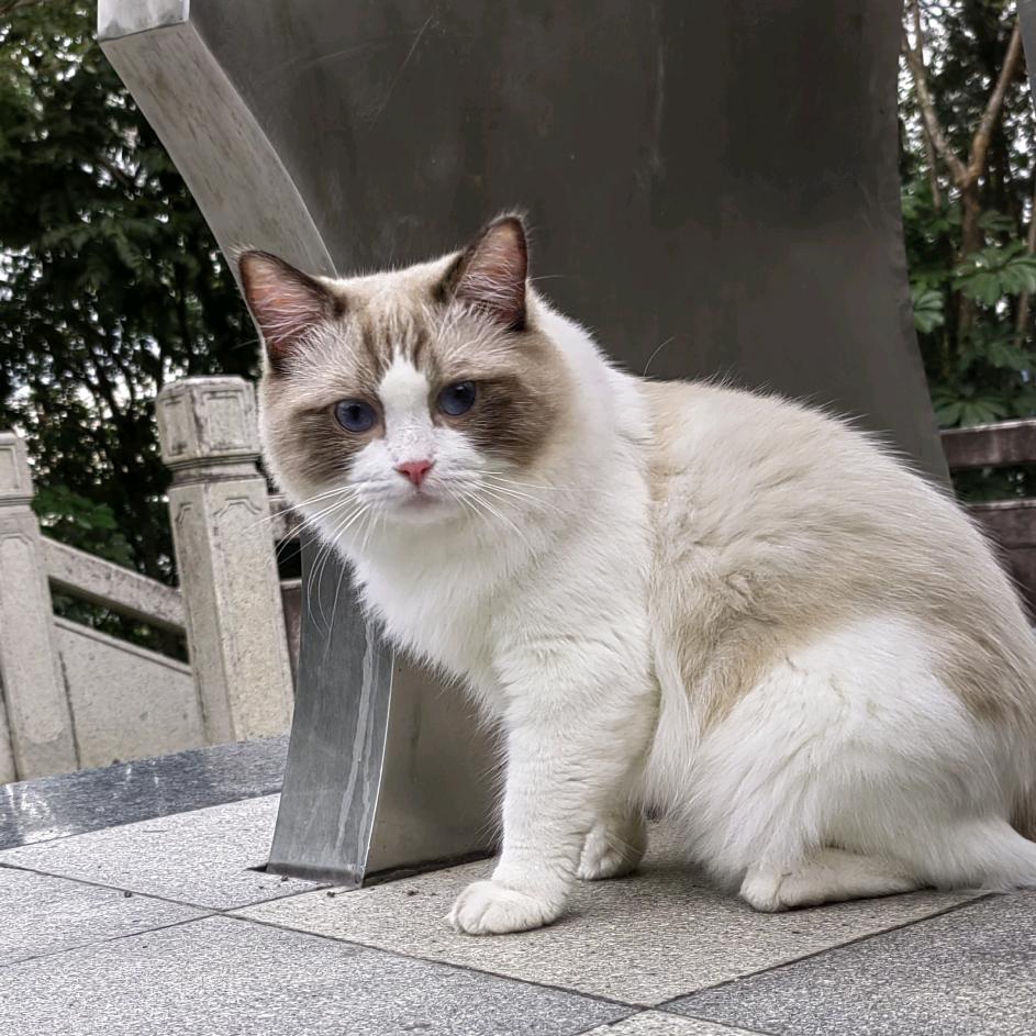 ꧁༺灯塔༻꧂