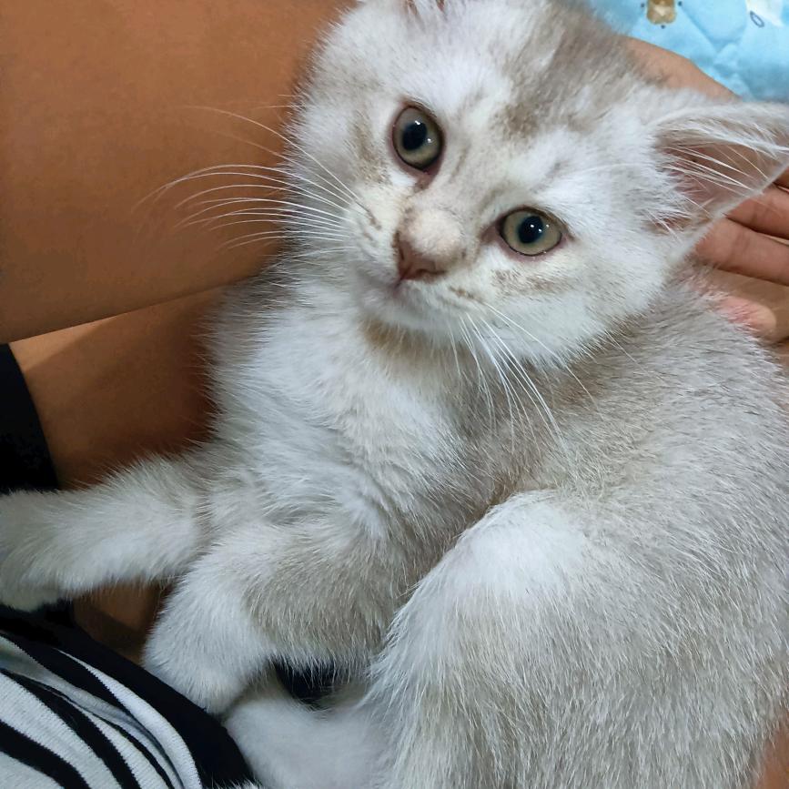 向日葵的微笑😁