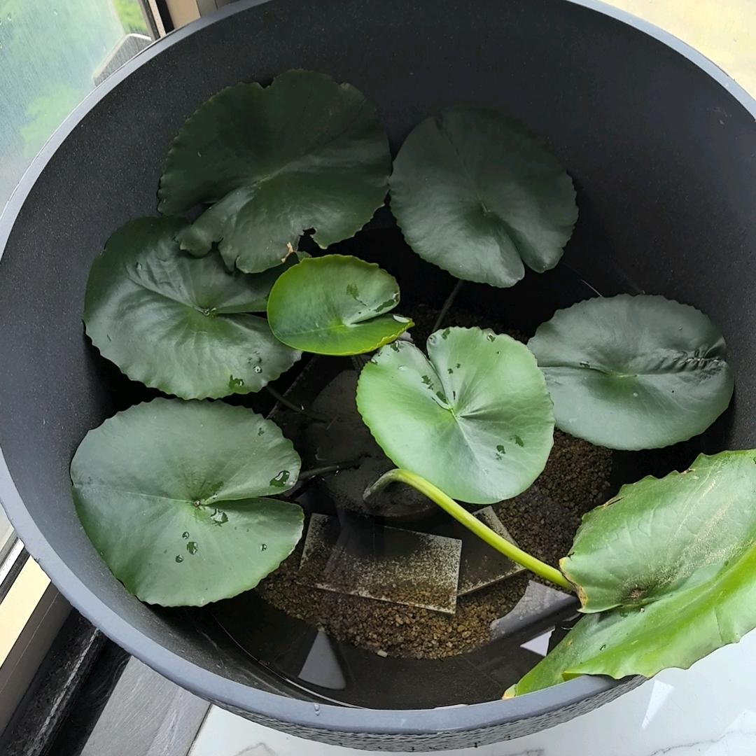 广州锴沿贸易店（个人独资）