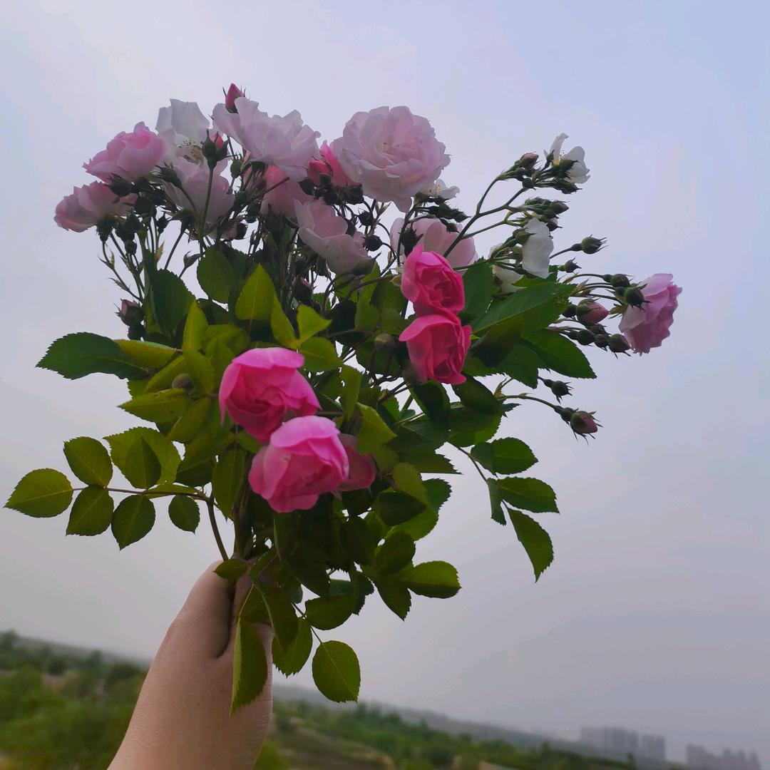 小石，，