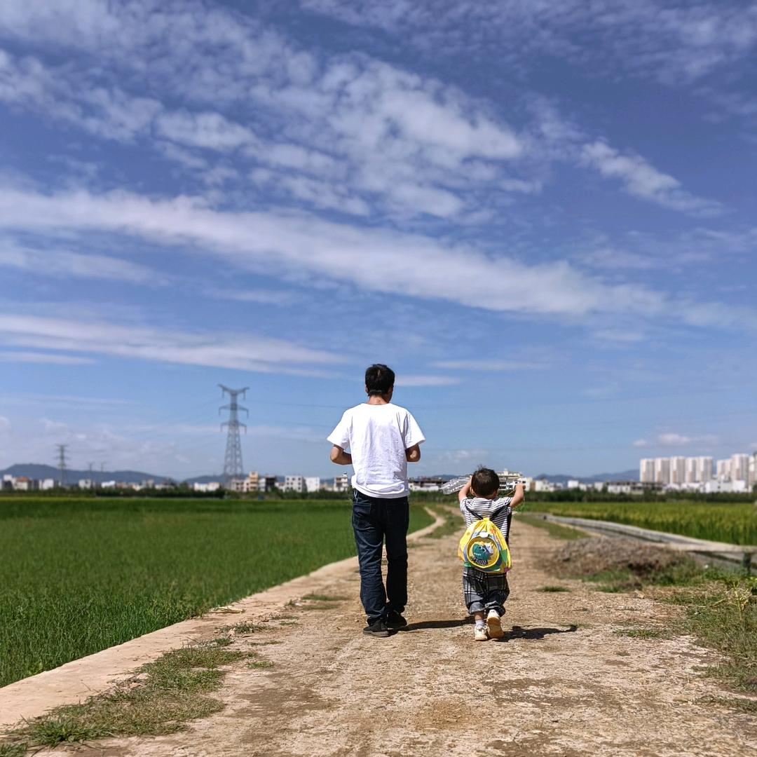 路过蜻蜓