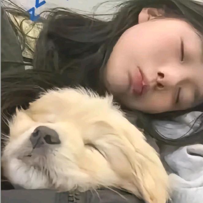 句号号