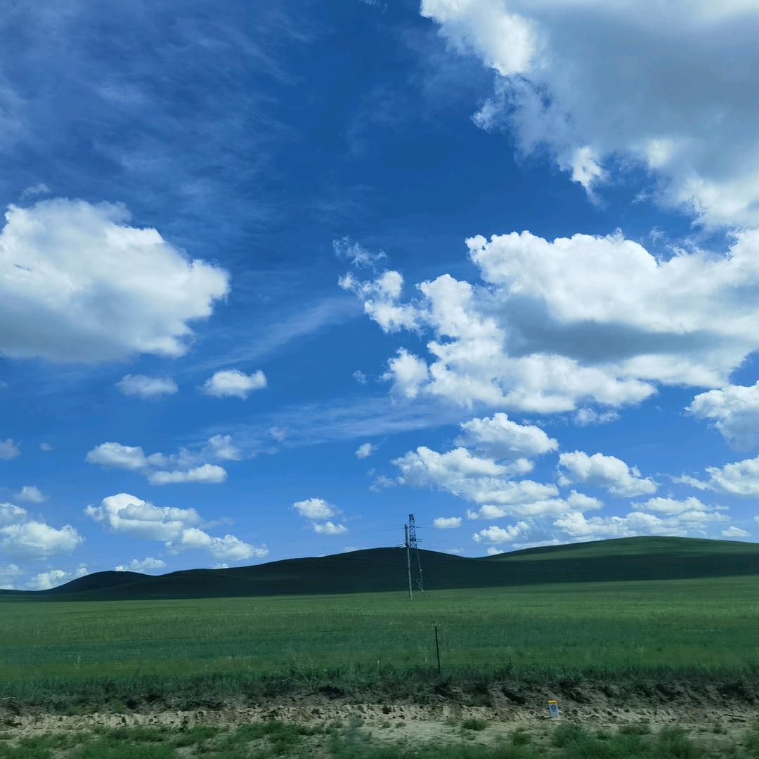 志和便利店(龙光世纪中心店)成都闫梗熙餐饮管理有限公司