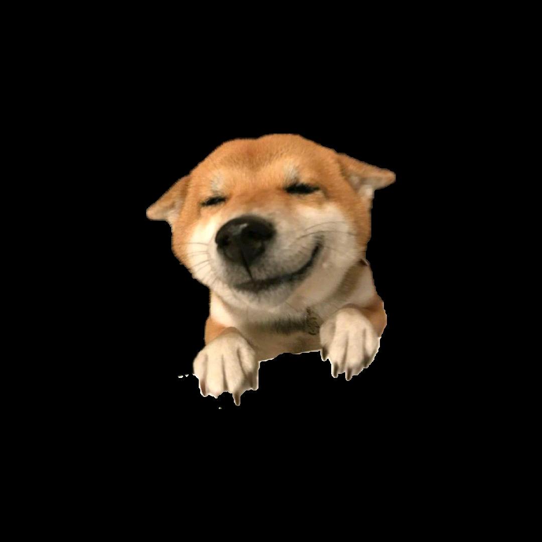 左某某