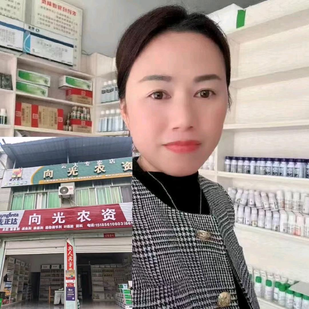 杨艳—向光农资