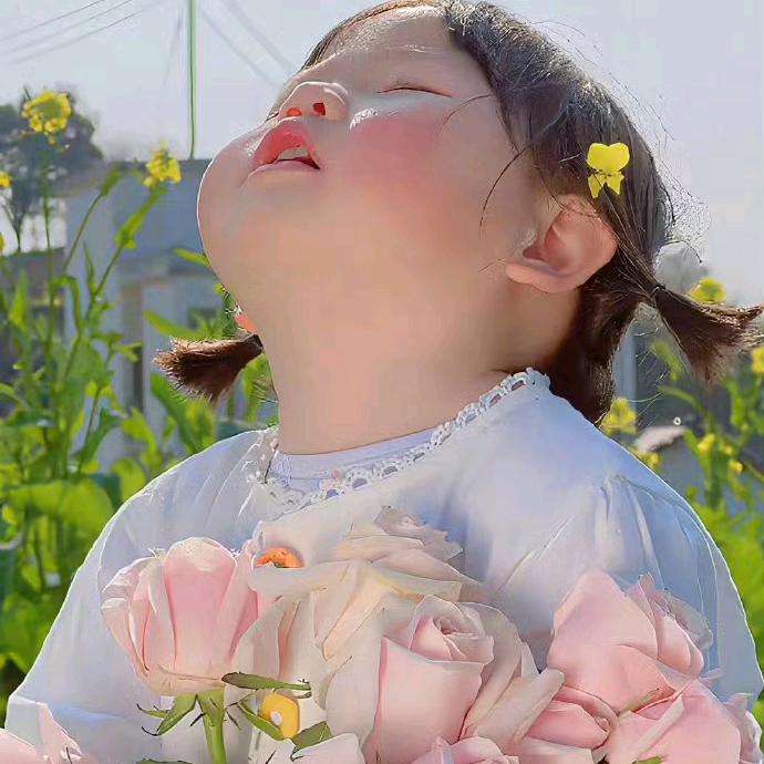 次什么鱼.～✨